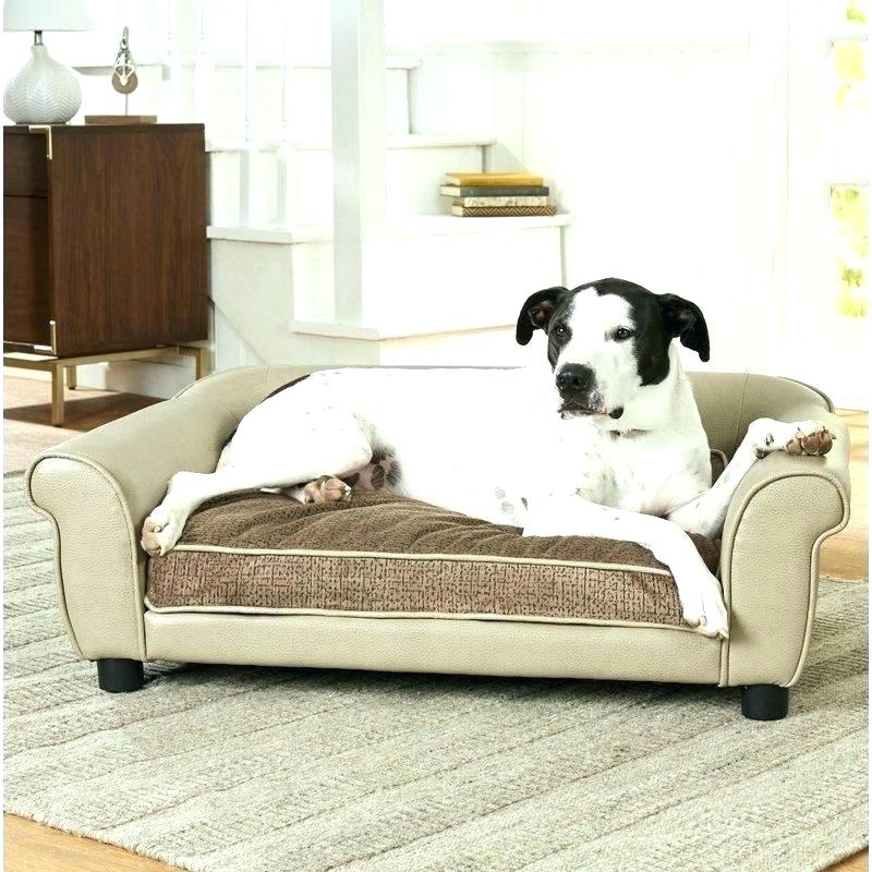 Dog Sofas and Beds For Ultimate Comfort