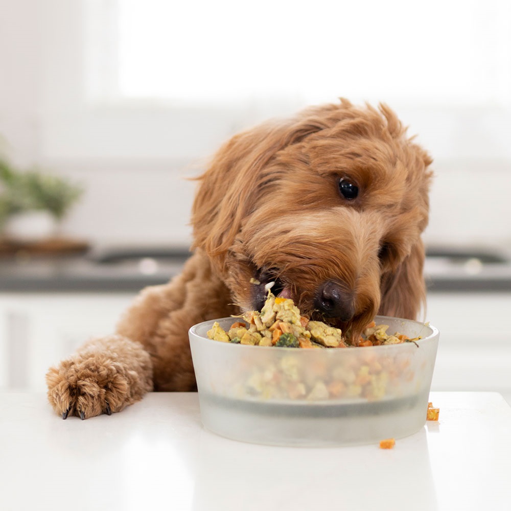 Benefits Of Giving Your Dogs Freshly Cooked Food