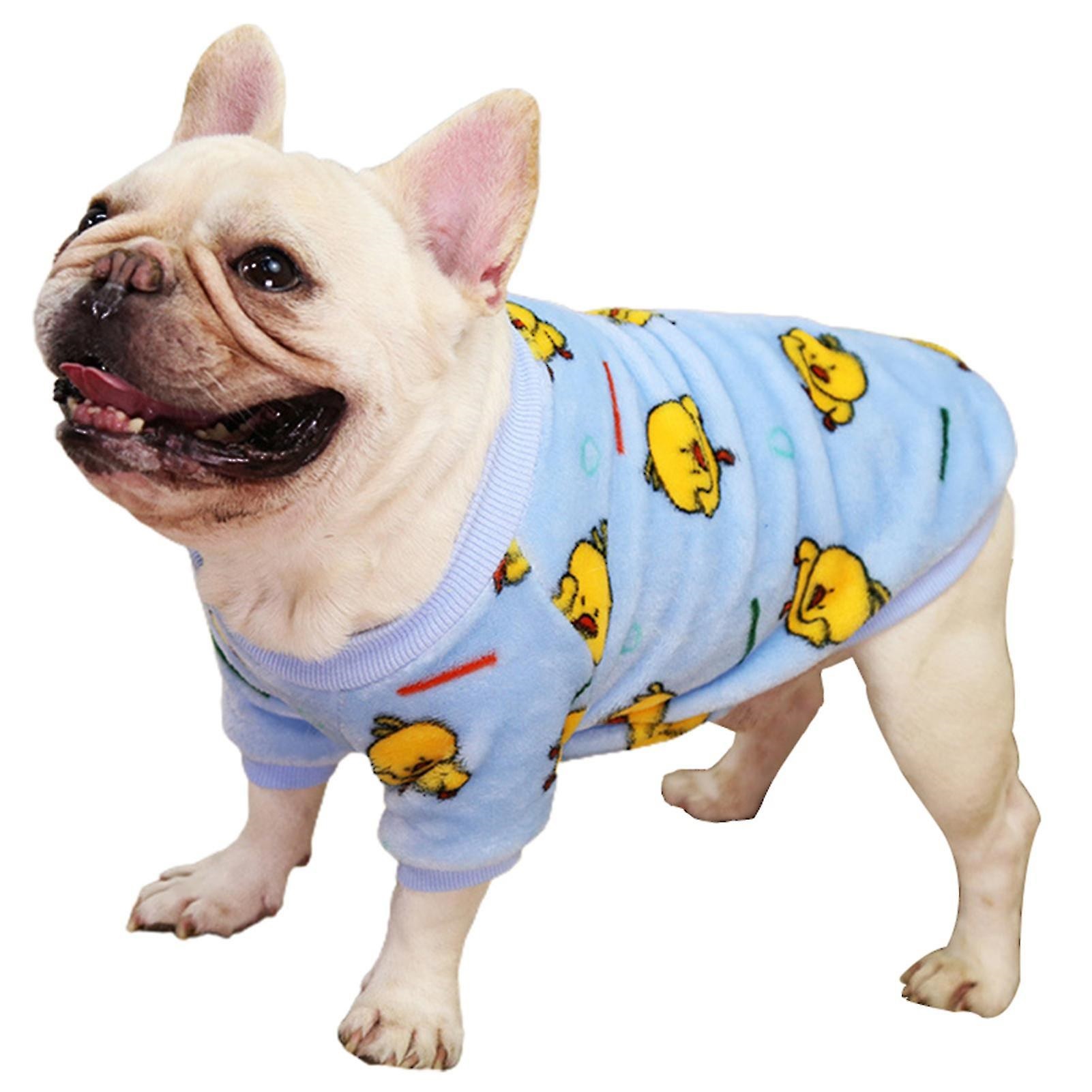 Pet Clothing: The Best And Affordable Dog Clothes